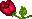 :rose2:
